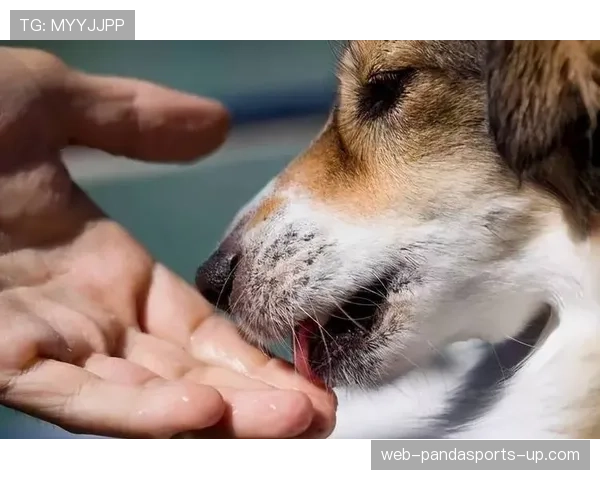 皮斯托瑞斯家的冰箱里塞满蛋白粉，连狗粮都是定制低脂的