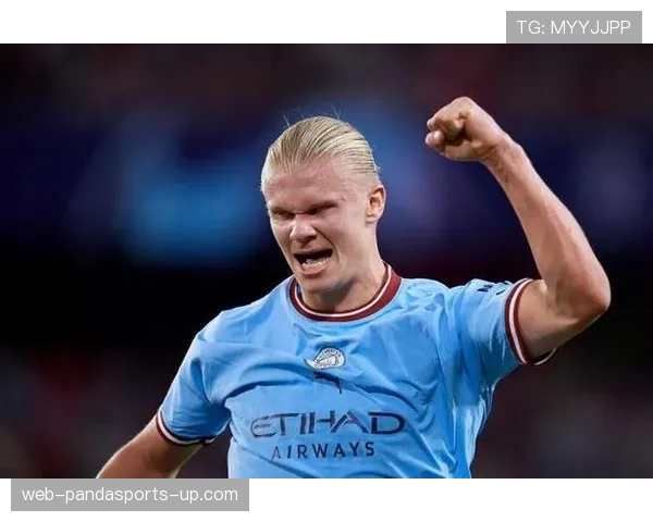 梳理哈兰德生涯表现与荣誉 分析其历史地位是否被低估