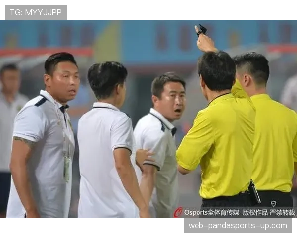 比赛官员分工规则拆解：每个裁判职责到底有哪些区别？