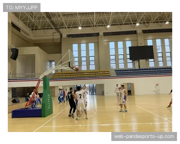 全面解析篮球替补席管理规则，确保比赛公平有序进行